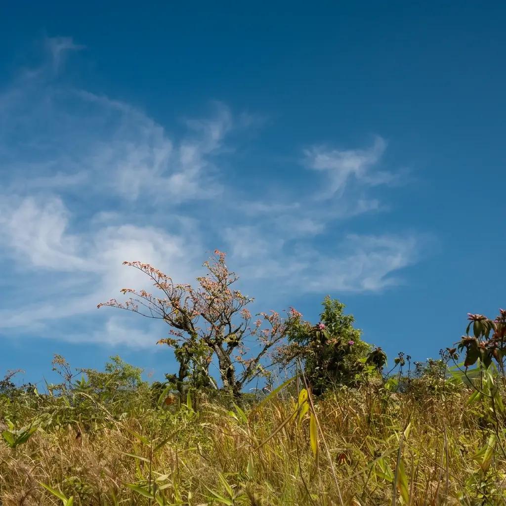 Sunrise over the Himalayan peaks