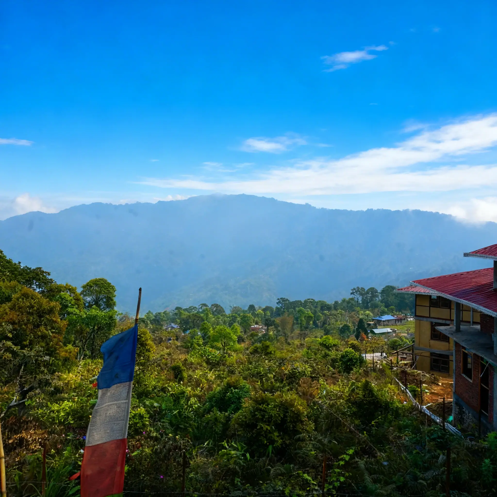 Prayer flags in the Himalayas
