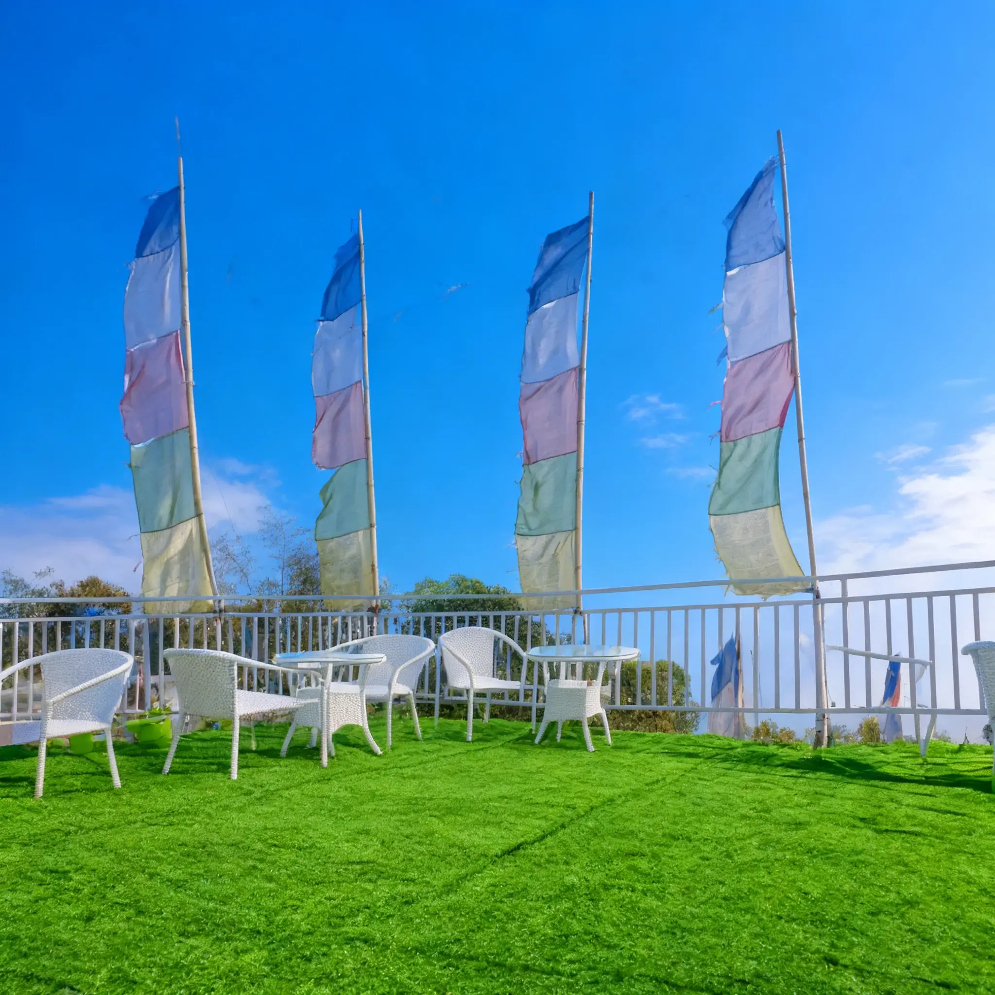 Misty forest pathway